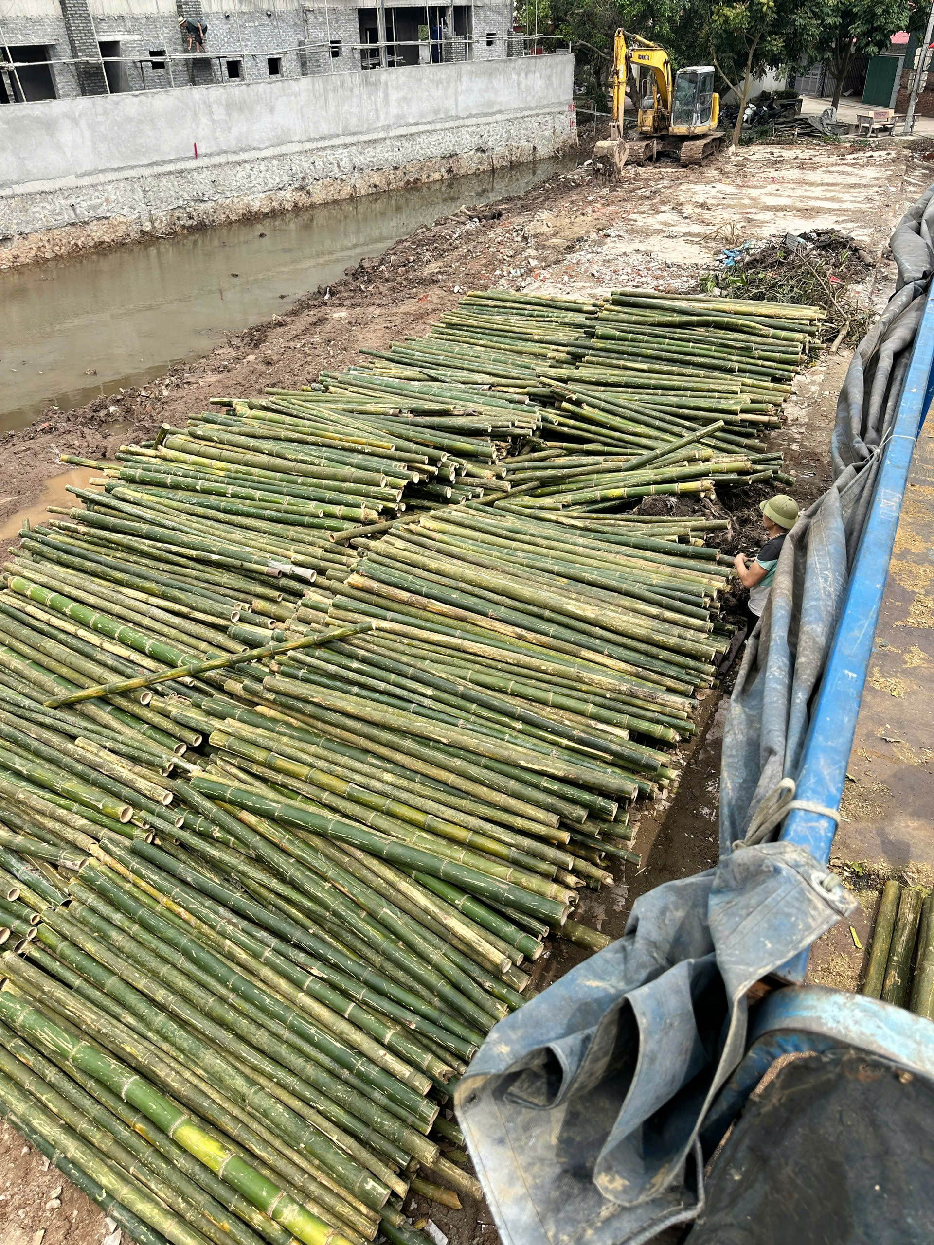 Cọc tre dài 2.5m
