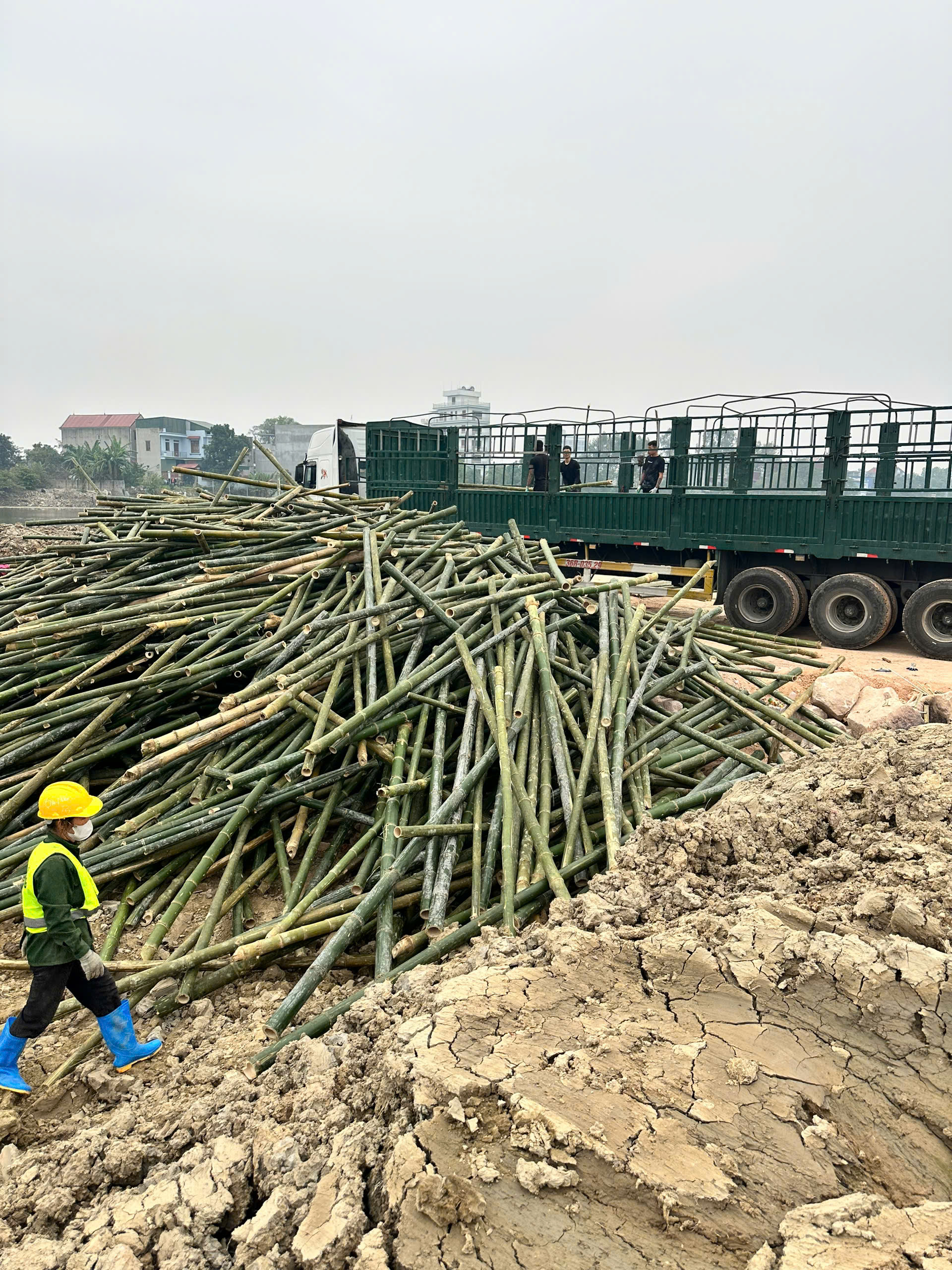 Tìm hiểu Cọc tre xây dựng