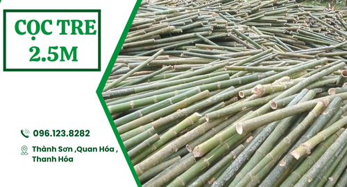 Cọc tre 2.5 mét