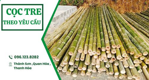 Cọc Tre