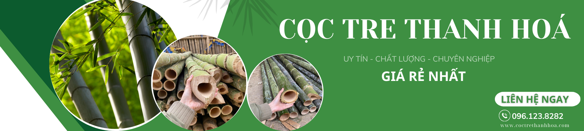 Cọc tre thanh hoá