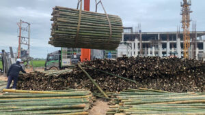 Thi công cọc tre ép móng tại Hải Dương 1