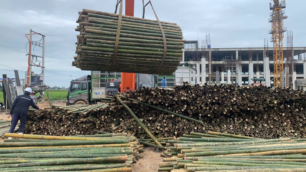 Cọc tre công trình