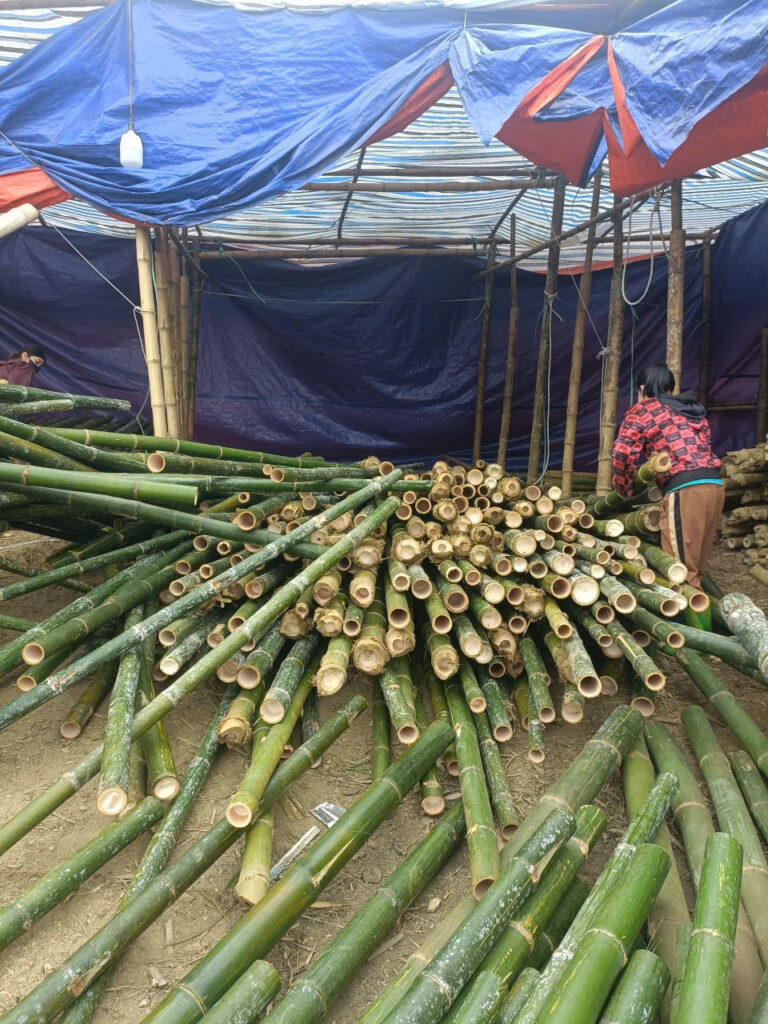Báo giá cọc tre tại hải phòng