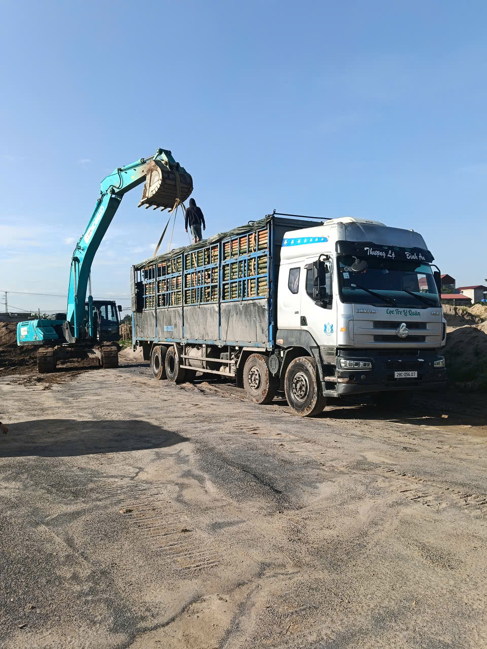 Báo giá cọc tre tại hải phòng 3