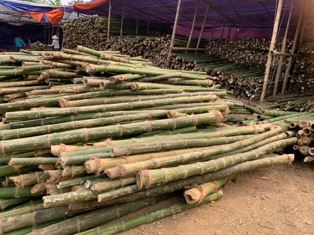 đóng cọc tre