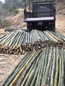 Công ty cọc tre giá rẻ số 1