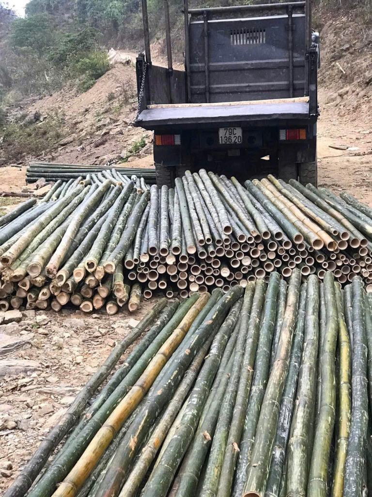Công ty cọc tre giá rẻ số 1