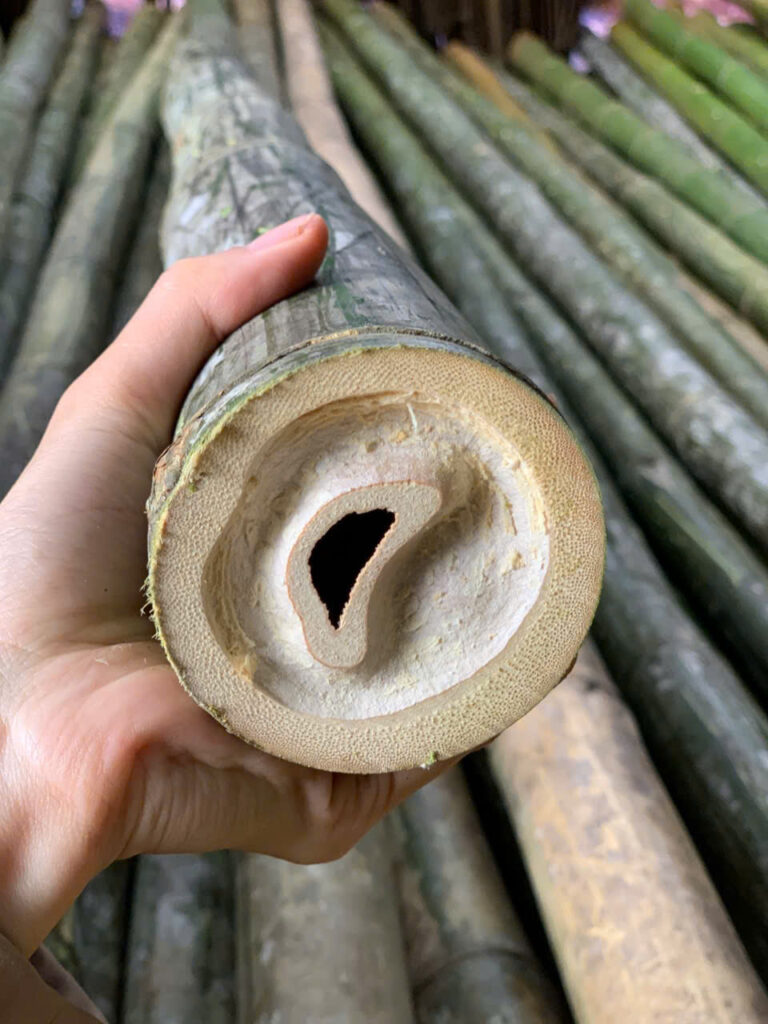 Cọc tre tại hưng yên 1