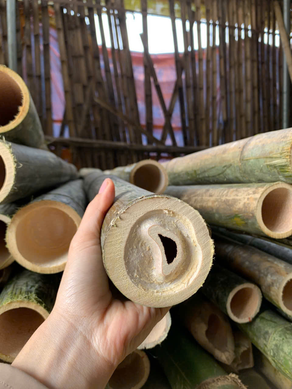 Cọc tre tại hưng yên