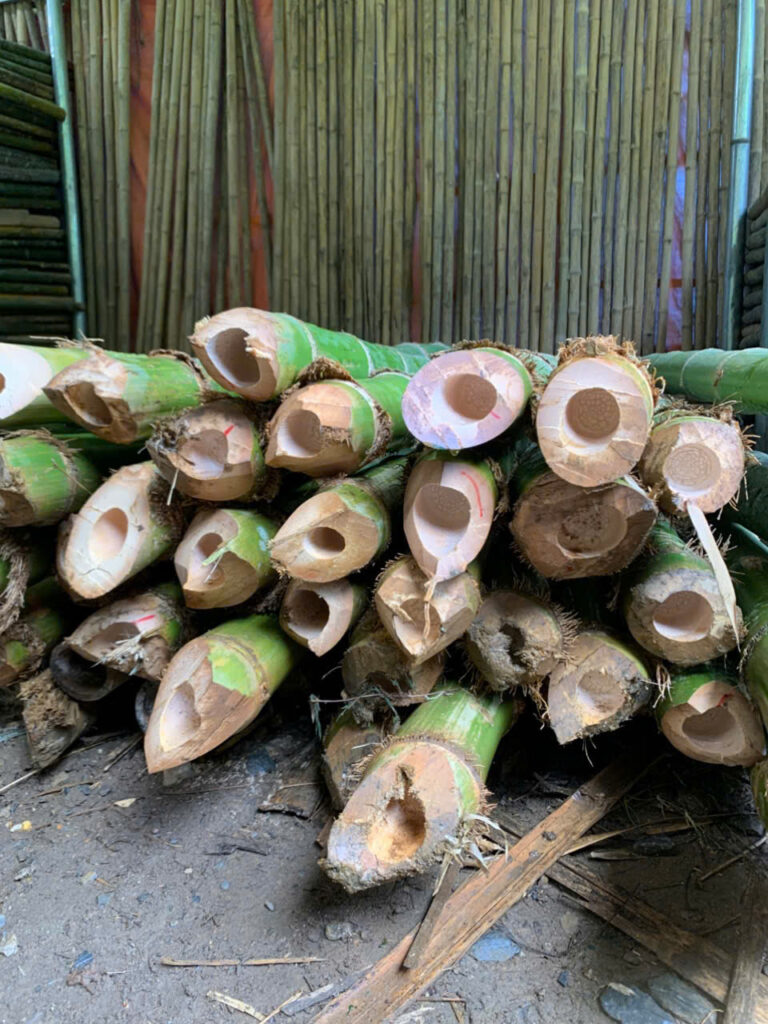 Báo giá cọc tre tại Hà Nội