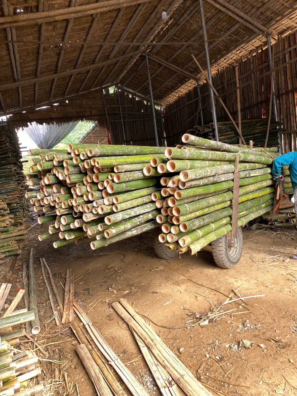 Báo giá cọc tre tại hưng yên 2026