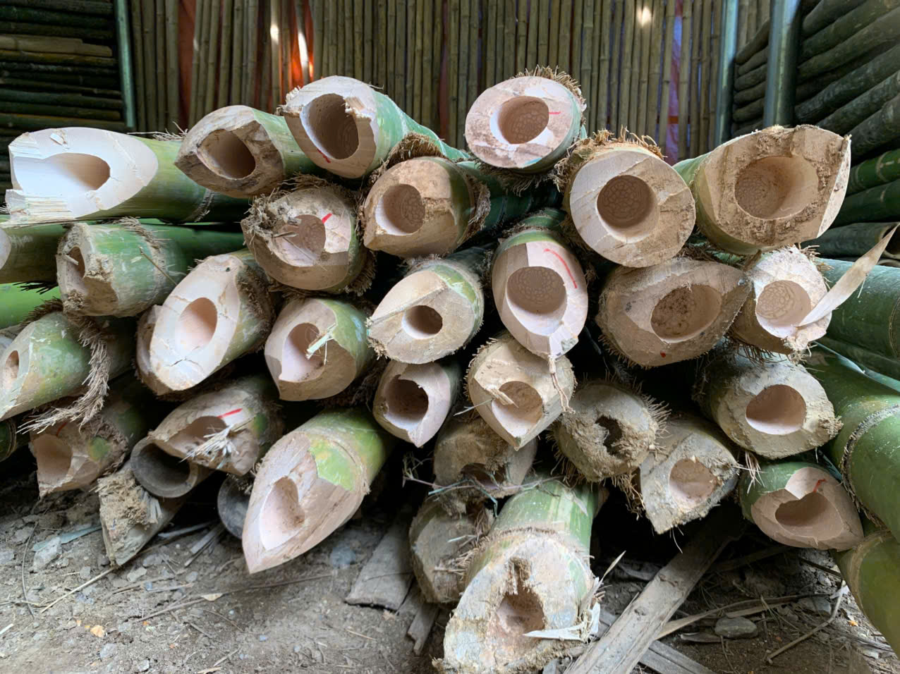 Đơn vị bán cọc tre uy tín