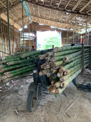 Tìm hiểu về cọc tre