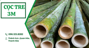 Cọc tre 3m
