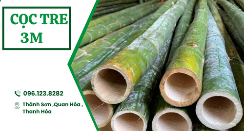 Cọc tre 3m