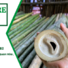 Cọc tre 2m