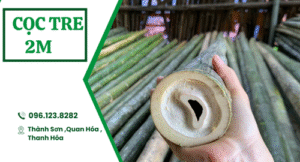 Cọc tre 2m