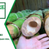 Cọc tre 4m