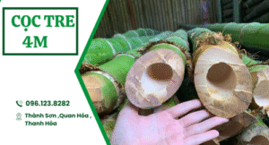 Cọc tre 4m