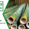 Cọc tre theo yêu cầu
