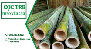 Cọc tre theo yêu cầu