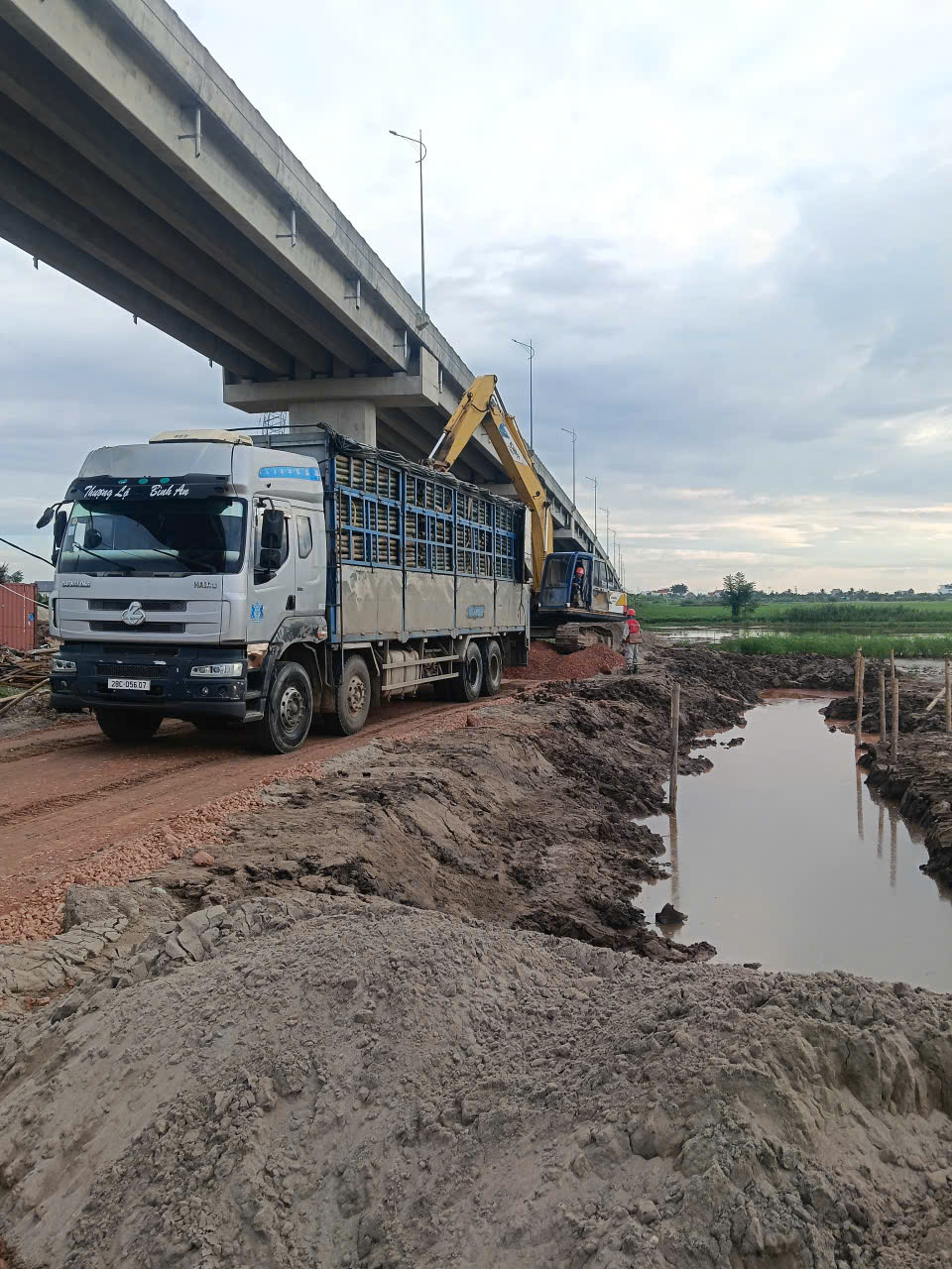 CỌC TRE ĐÓNG MÓNG
